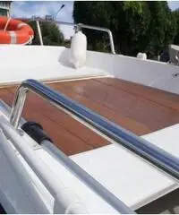 Barca a motore