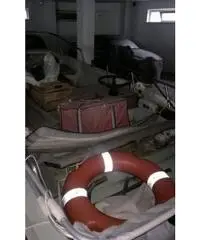 Trimarano 