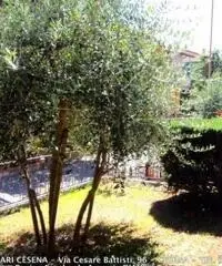 Oltre Savio: Vendita Quadrilocali in Via Arturo Graf