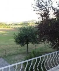 Casa indipendente in Vendita a Meldola Casa indipendente in Vendita a Meldola