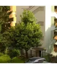 Appartamento in vendita a Genova, Quarto