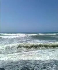 Vendita Bilocale in via Luigi Arpinati