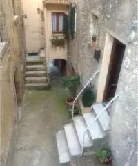 BILOCALE A SATURNIA BILOCALE A SATURNIA