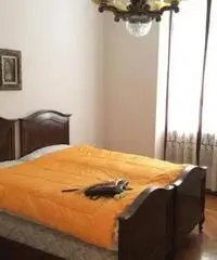 Vendita Cinque locali in Corso Felice Cavallotti