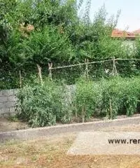 Avezzano -  Villa 8 locali € 85.000 T715 Avezzano -  Villa 8 locali € 85.000 T715
