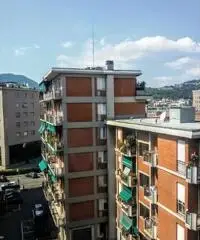 trilocale vicino mare