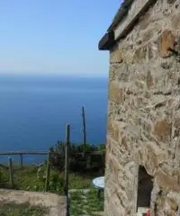 Rustico Giuseppe