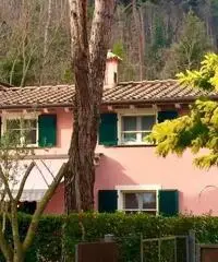Villa delle Mimose Villa delle Mimose