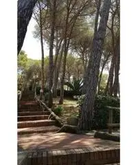 APPARTAMENTI - CIVILE ABITAZIONE - ROSIGNANO MARITTIMO