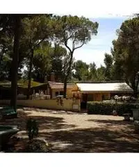 APPARTAMENTI - CIVILE ABITAZIONE - ROSIGNANO MARITTIMO