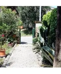Appartamento in vendita a COLOGNOLE - Collesalvetti 67 mq