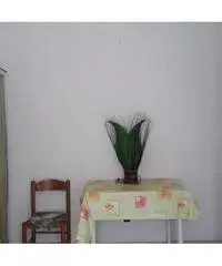 Appartamento in vendita a COTONE - Piombino 40 mq