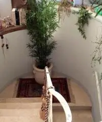 Appartamento in vendita a San Vincenzo