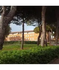 Appartamento in vendita a ARDENZA - Livorno 175000 mq Appartamento in vendita a ARDENZA - Livorno 175000 mq