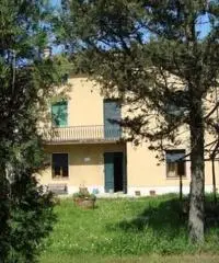 Terratetto in vendita a Altopascio 450 mq