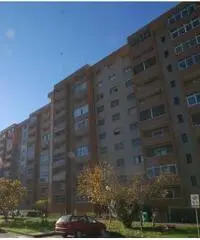 Vendita Trilocale in Via Benvenuto Cellini