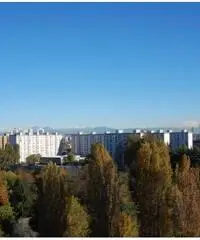 Vendita Trilocale in Via Benvenuto Cellini