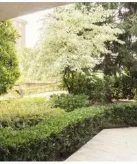 Vendita Monolocale in Via Bruno Sangalli