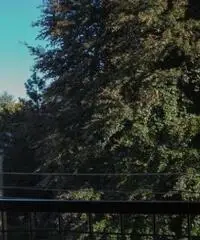 Vendita Trilocale in Via Cesare Battisti