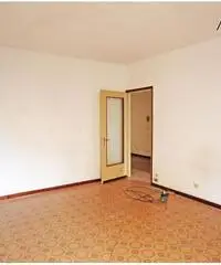 Ampio 2 locali con cantina a.... 39.000 Euro!
