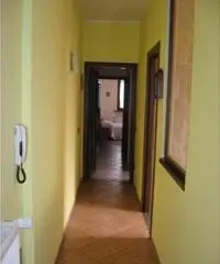 Vendita Casa indipendente in Via Cesare Zanola