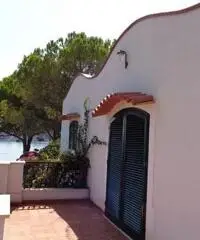 ALFA - AM014 - Villa con Piscina Zona Mare