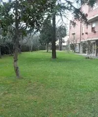 Appartamento in vendita a Cascina 95 mq
rif: 358380
