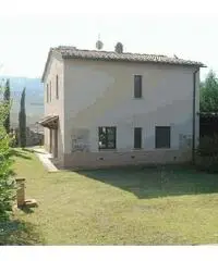 Colonica/casale in vendita a Volterra 180000 mq Colonica/casale in vendita a Volterra 180000 mq