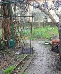 Terratetto in vendita a PUTIGNANO PISANO - Pisa 140 mq Terratetto in vendita a PUTIGNANO PISANO - Pisa 140 mq