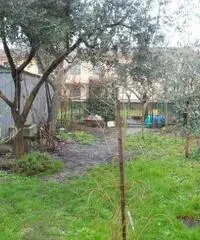 Terratetto in vendita a PUTIGNANO PISANO - Pisa 140 mq Terratetto in vendita a PUTIGNANO PISANO - Pisa 140 mq