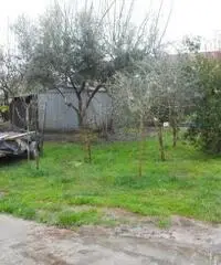 Terratetto in vendita a PUTIGNANO PISANO - Pisa 140 mq Terratetto in vendita a PUTIGNANO PISANO - Pisa 140 mq