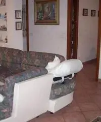 APPARTAMENTO di 4 vani e di 92 mq (CARMIGNANO)