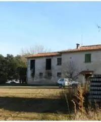 Stabile in Vendita a Riolo Terme Stabile in Vendita a Riolo Terme