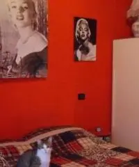 Trarivi: Vendita Trilocale da 60mq