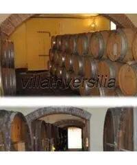 Azienda agricola in vendita a Montepulciano 70000 mq