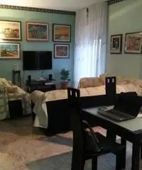 Centro città: Vendita Cinque locali in Viale Scala Greca Centro città: Vendita Cinque locali in Viale Scala Greca