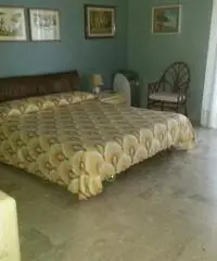 Centro città: Vendita Cinque locali in Viale Scala Greca Centro città: Vendita Cinque locali in Viale Scala Greca