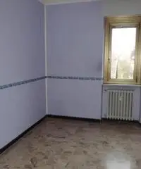 Trilocale Collegno
