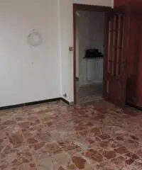 Trilocale Collegno