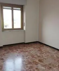 Trilocale Collegno