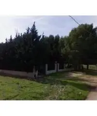 Terreno 3000mq con Villetta San Vito Lo Capo 480.000 €