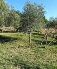 Vendita Villa in Località Darsella di Chiampore