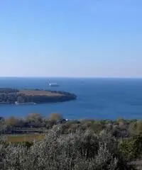 Vendita Villa in Località Darsella di Chiampore