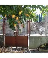 Vendita Villa in Via A. de Almerigotti