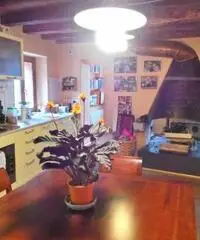 Villa 215 mq  in Vendita a Tricesimo