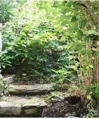 Appartamento a Castelveccana Appartamento a Castelveccana