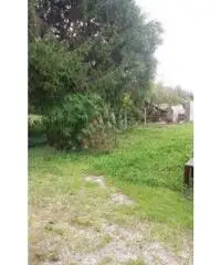 Vendita Casa indipendente in via veneto