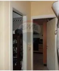 Vendita Casa indipendente in Viale dei Ciliegi