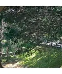 Vendita Quadrilocali in Colle Gastagh, 4