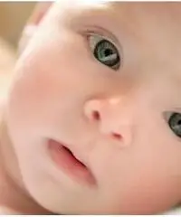 baby sitter